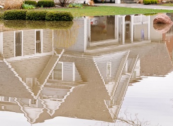 Reflection of some houses in standing water after a flood